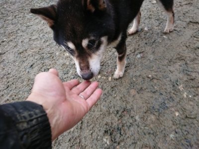 f:id:roukenhome-ann:20190106124615j:plain