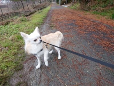 f:id:roukenhome-ann:20190106124722j:plain