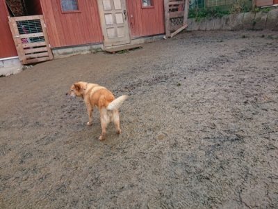 f:id:roukenhome-ann:20190107052808j:plain