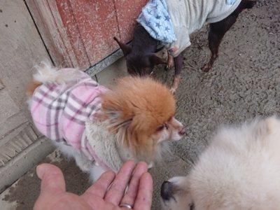 f:id:roukenhome-ann:20190107071821j:plain