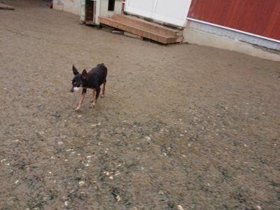 f:id:roukenhome-ann:20190107071849j:plain