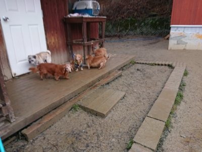 f:id:roukenhome-ann:20190107072050j:plain