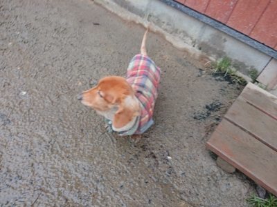 f:id:roukenhome-ann:20190107072055j:plain