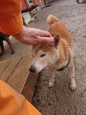 f:id:roukenhome-ann:20190107072119j:plain