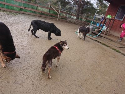 f:id:roukenhome-ann:20190107072426j:plain
