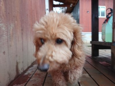 f:id:roukenhome-ann:20190107072451j:plain