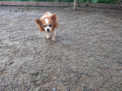 f:id:roukenhome-ann:20190107072509j:plain