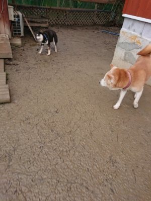 f:id:roukenhome-ann:20190107072652j:plain