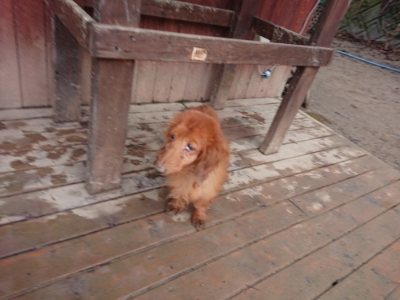 f:id:roukenhome-ann:20190107073251j:plain