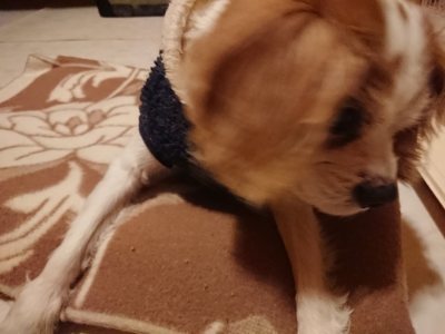f:id:roukenhome-ann:20190107073813j:plain