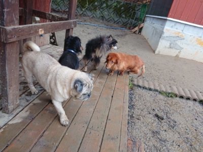 f:id:roukenhome-ann:20190107073827j:plain