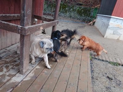 f:id:roukenhome-ann:20190107073909j:plain