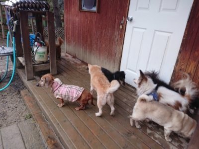f:id:roukenhome-ann:20190107073943j:plain
