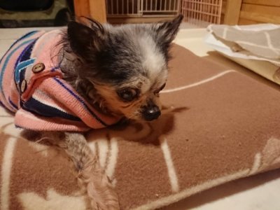 f:id:roukenhome-ann:20190107074056j:plain