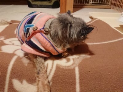 f:id:roukenhome-ann:20190107074258j:plain