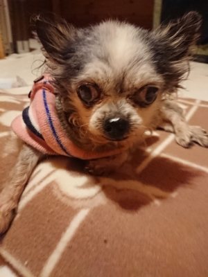 f:id:roukenhome-ann:20190107074303j:plain