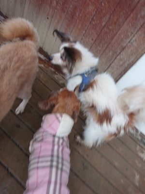 f:id:roukenhome-ann:20190107074339j:plain