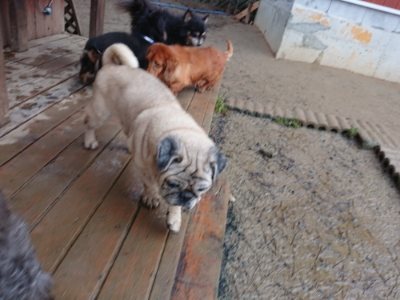 f:id:roukenhome-ann:20190107074353j:plain
