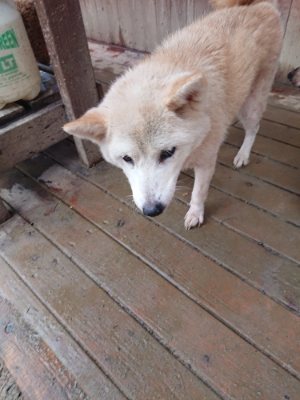 f:id:roukenhome-ann:20190107074358j:plain