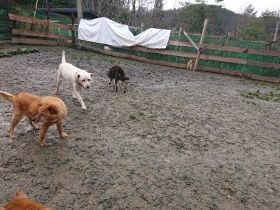 f:id:roukenhome-ann:20190107074413j:plain