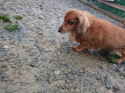 f:id:roukenhome-ann:20190107074427j:plain