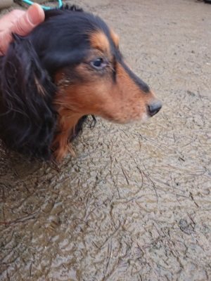 f:id:roukenhome-ann:20190107074511j:plain