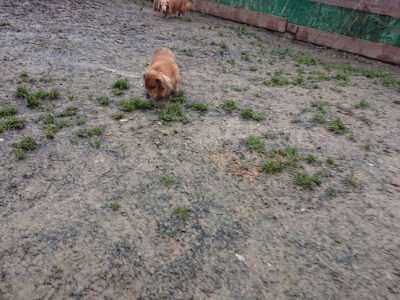 f:id:roukenhome-ann:20190107074528j:plain