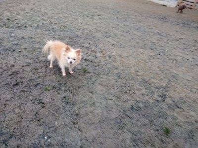 f:id:roukenhome-ann:20190107074804j:plain
