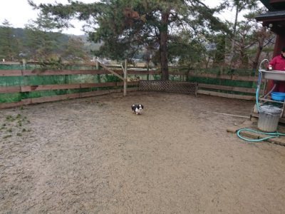 f:id:roukenhome-ann:20190107074832j:plain