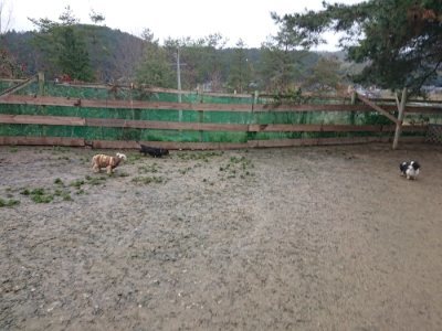 f:id:roukenhome-ann:20190107074903j:plain