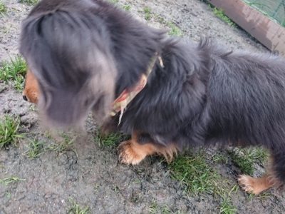 f:id:roukenhome-ann:20190107074921j:plain