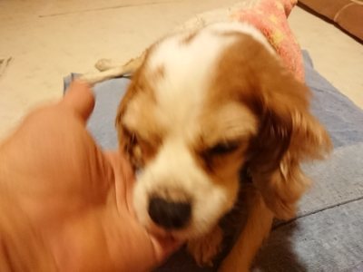 f:id:roukenhome-ann:20190107183003j:plain f:id:roukenhome-ann:20190107183003j:plain