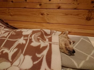 f:id:roukenhome-ann:20190107183017j:plain f:id:roukenhome-ann:20190107183017j:plain