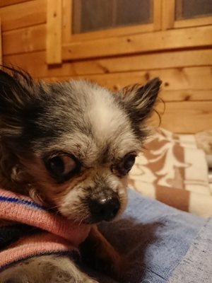 f:id:roukenhome-ann:20190107183036j:plain f:id:roukenhome-ann:20190107183036j:plain
