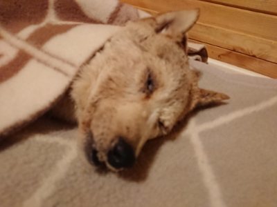 f:id:roukenhome-ann:20190107183046j:plain f:id:roukenhome-ann:20190107183046j:plain
