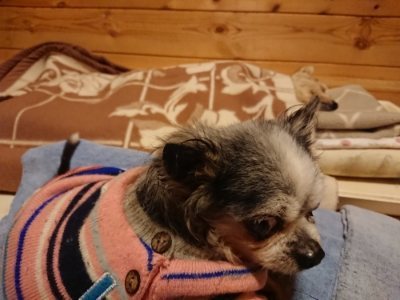 f:id:roukenhome-ann:20190107183110j:plain f:id:roukenhome-ann:20190107183110j:plain