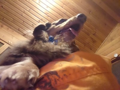 f:id:roukenhome-ann:20190107183116j:plain f:id:roukenhome-ann:20190107183116j:plain
