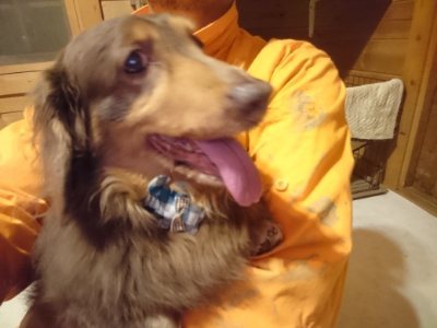 f:id:roukenhome-ann:20190107183127j:plain f:id:roukenhome-ann:20190107183127j:plain