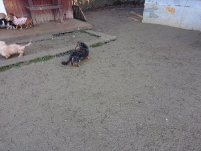 f:id:roukenhome-ann:20190107183530j:plain f:id:roukenhome-ann:20190107183530j:plain