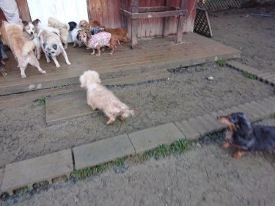 f:id:roukenhome-ann:20190107183536j:plain f:id:roukenhome-ann:20190107183536j:plain
