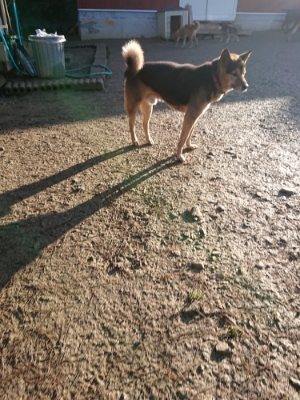 f:id:roukenhome-ann:20190107183612j:plain f:id:roukenhome-ann:20190107183612j:plain