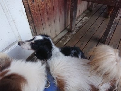 f:id:roukenhome-ann:20190107183841j:plain f:id:roukenhome-ann:20190107183841j:plain