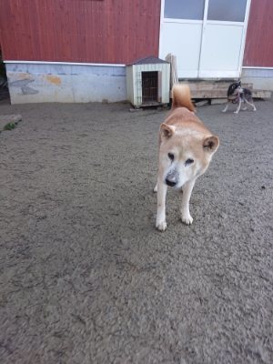 f:id:roukenhome-ann:20190107183846j:plain f:id:roukenhome-ann:20190107183846j:plain