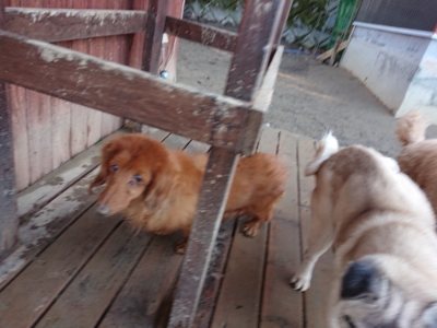 f:id:roukenhome-ann:20190107184016j:plain f:id:roukenhome-ann:20190107184016j:plain