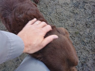 f:id:roukenhome-ann:20190107184034j:plain f:id:roukenhome-ann:20190107184034j:plain
