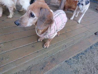 f:id:roukenhome-ann:20190107184117j:plain f:id:roukenhome-ann:20190107184117j:plain