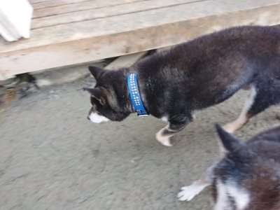 f:id:roukenhome-ann:20190107184122j:plain f:id:roukenhome-ann:20190107184122j:plain