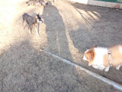 f:id:roukenhome-ann:20190107184502j:plain f:id:roukenhome-ann:20190107184502j:plain