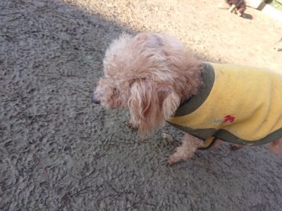 f:id:roukenhome-ann:20190107184603j:plain f:id:roukenhome-ann:20190107184603j:plain