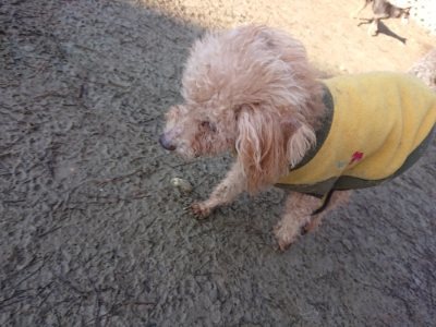 f:id:roukenhome-ann:20190107184636j:plain f:id:roukenhome-ann:20190107184636j:plain